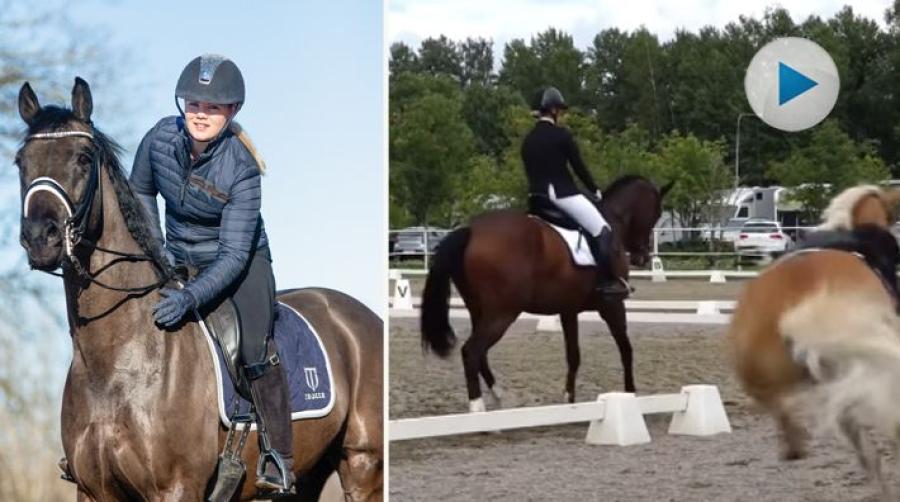 När Lina Dolk tävlade i Surahammar kom plötsligt en häst skenandes in på banan. Det var haflingerstoet Filina som hade blivit skrämd.