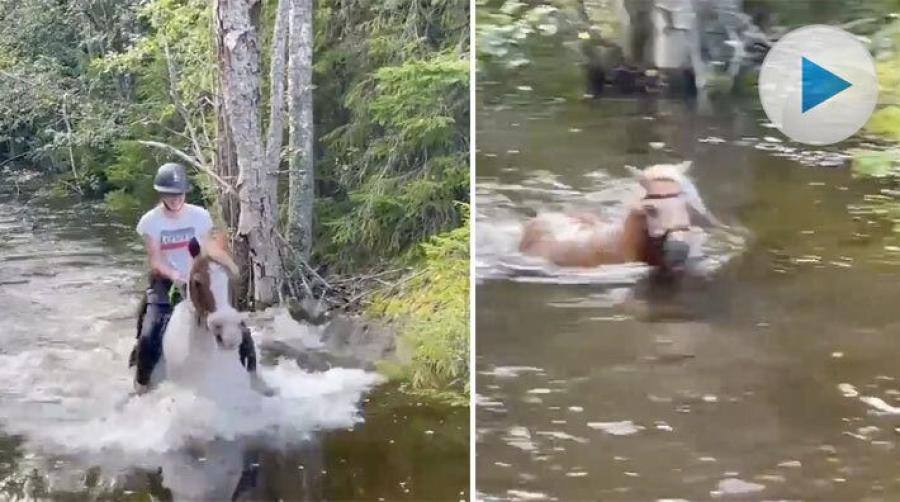 Naturhindret hade förvandlats till en sjö