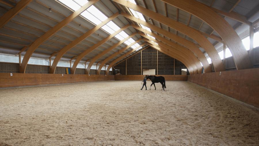 Dags att bygga ridhus?