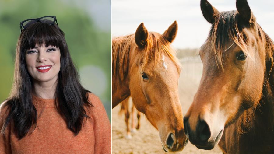 »Ingen sport är så ädel som ridsporten«