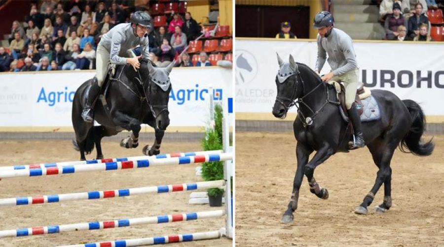 Henrik von Eckermann och Pacific, segraren vid testridningen år 2022. Arkivfoto: Kim C Lundin