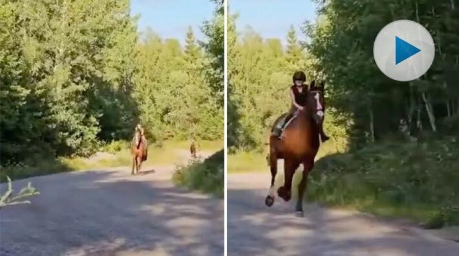 Fart och fläkt med Alva och Zingo