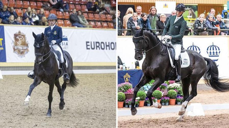 Vendela Eriksdotter Rubin med Diploid och Carl Hedin med Skyline to B kommer till clinicen. Arkivfoto: Roland Thunholm och Kim C Lundin