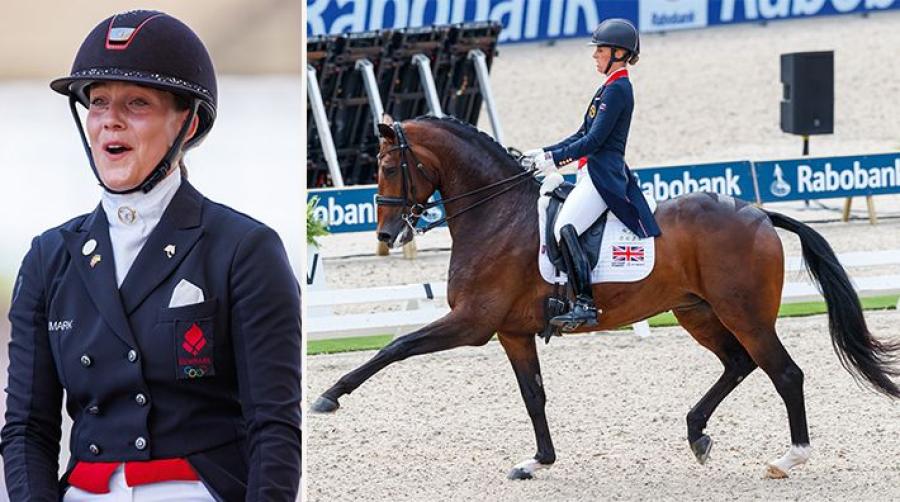 Arkivfoto: Tomas Holcbecher