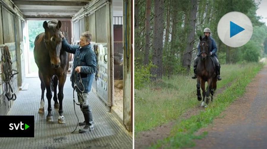 Ulla Håkanson i SVT:s Go'kväll
