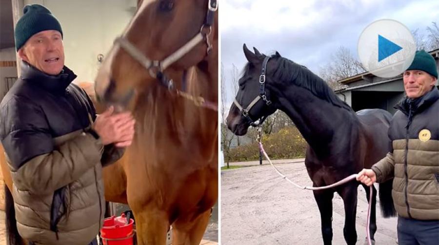<p>Måndagar innebär en extra check av hästarna hemma hos Peder Fredricson. I en video i sociala medier förklarar han vad det är han tittar på.