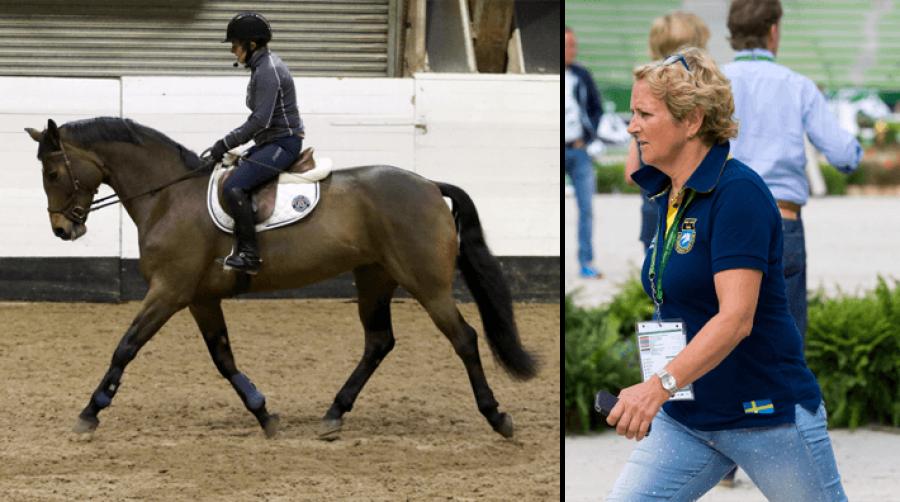 Foto: Hippson/Tomas Holcbecher