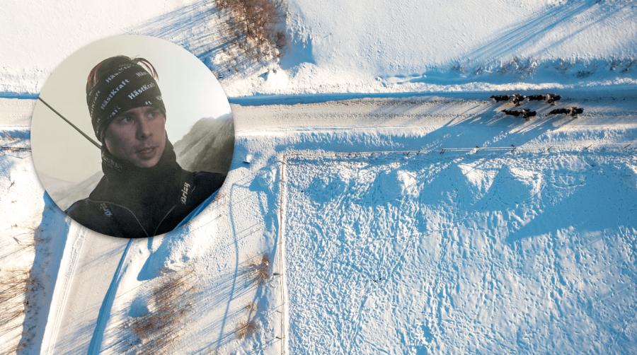 Så vintertränar ett av Sveriges största travstall