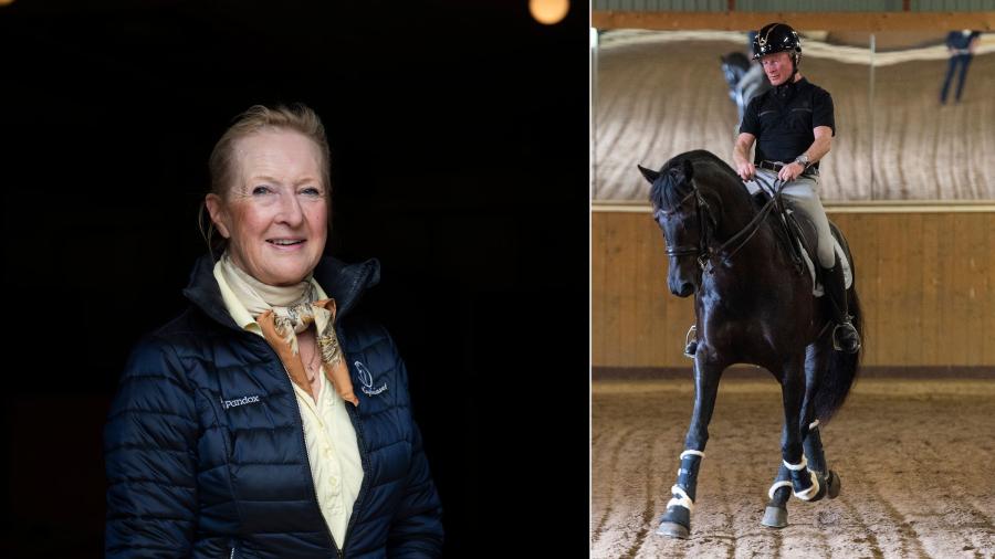 Samling, sits och skolor med Liane Wachtmeister