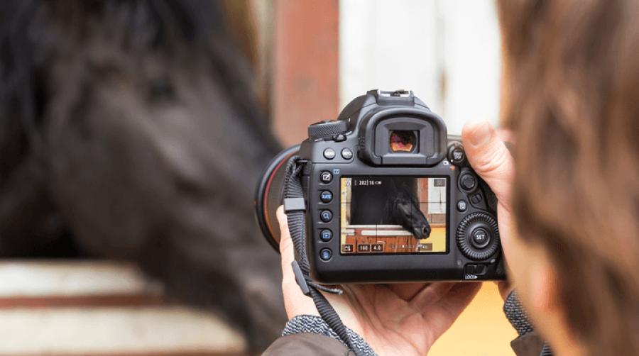 Foto: Adobe Stock