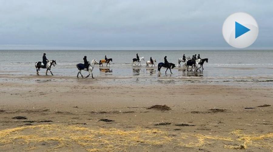 Nyårsgalopp på stranden