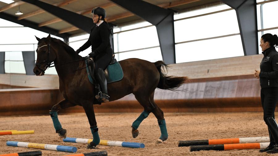 Träna lekfullt med kavaletti – Hege Roslands favoritövningar