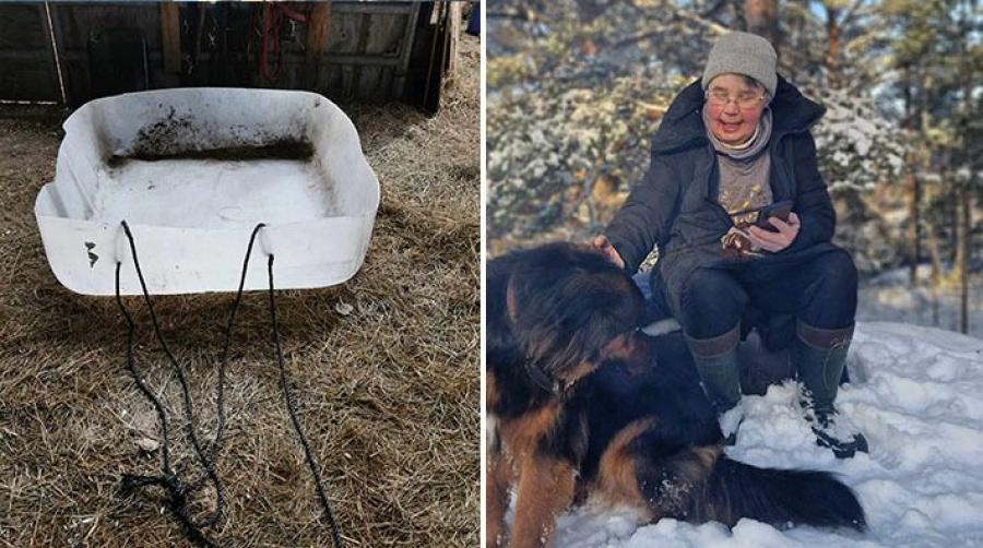 Botten av en IBC-behållare blev lösningen för att transportera foder långa sträckor för Anneli Sätter Wangenfors. Foto: Privat.