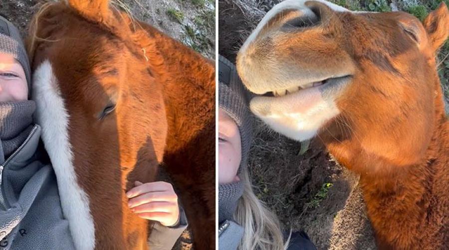 På Sanna Forsells Instagram har klippet på hennes sovande Calle gått viralt.
