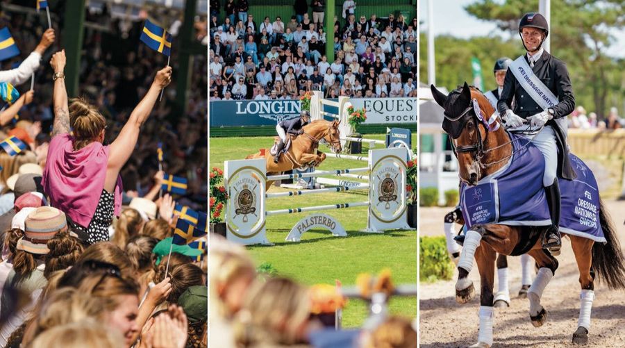 Tävling Vinn biljetter till Falsterbo Horse Show